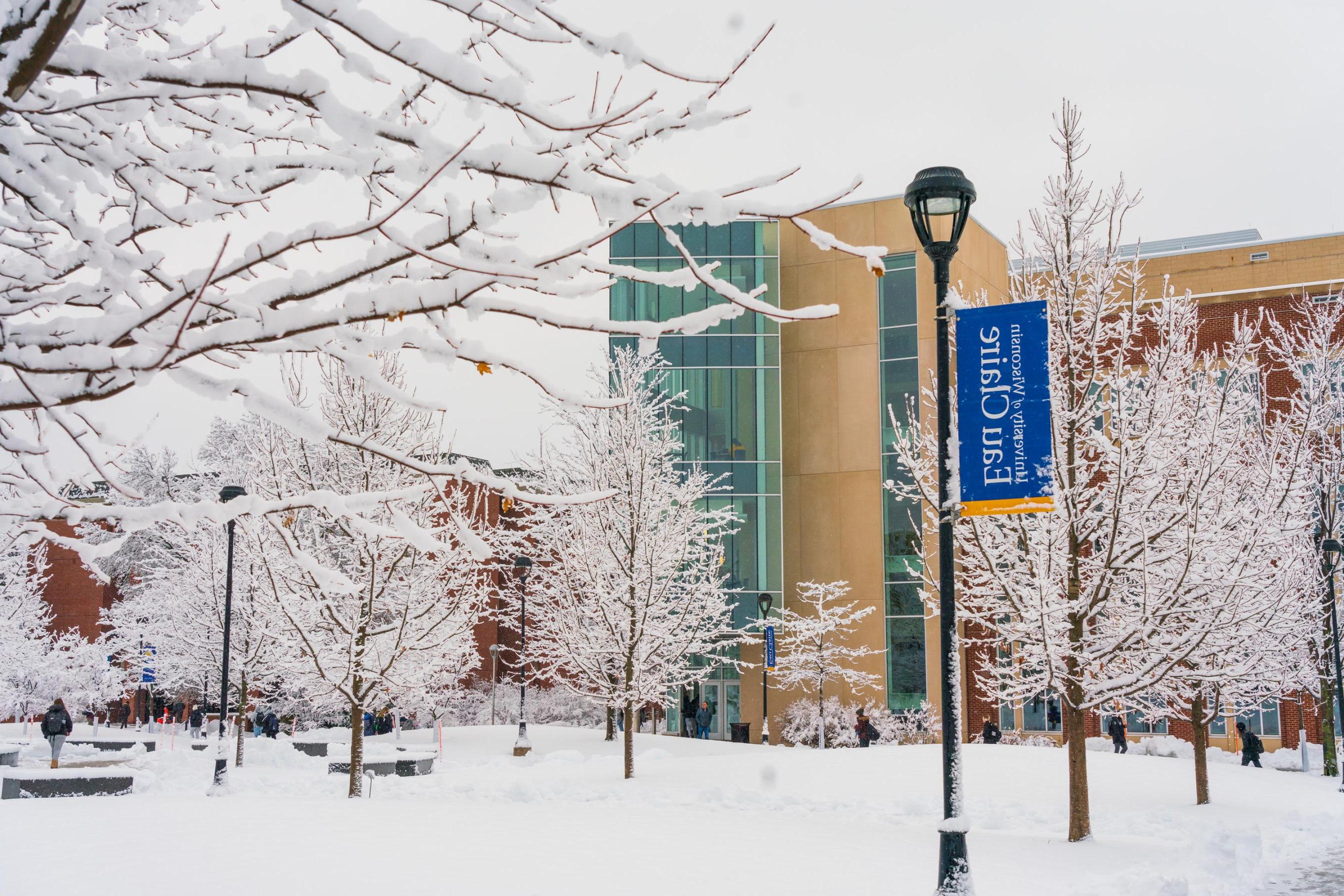 Winter snow scene