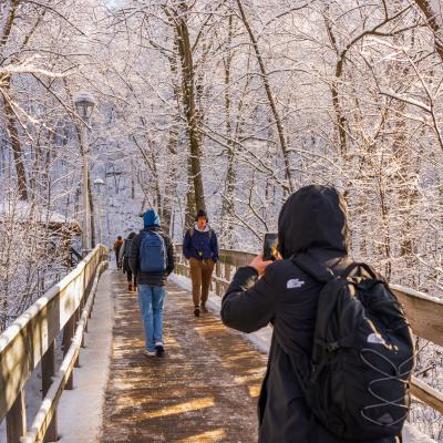 Frosted and snowy path leading to stairs in the winter season.